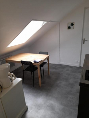 LOGEMENT VERT proche de NEOMA et de la CATHEDRALE de REIMS